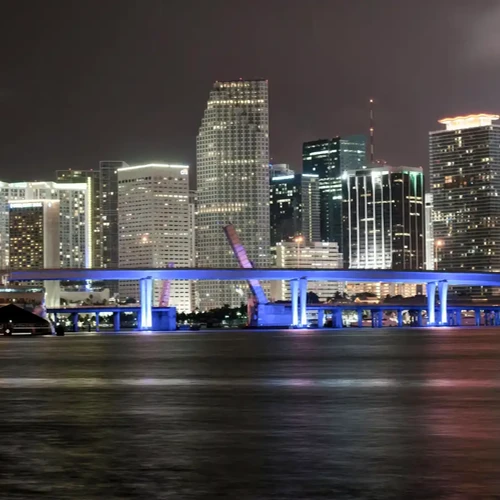 The Psychology Behind Finding Women in Miami