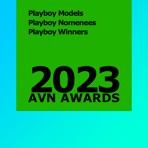 2023 AVN Awards