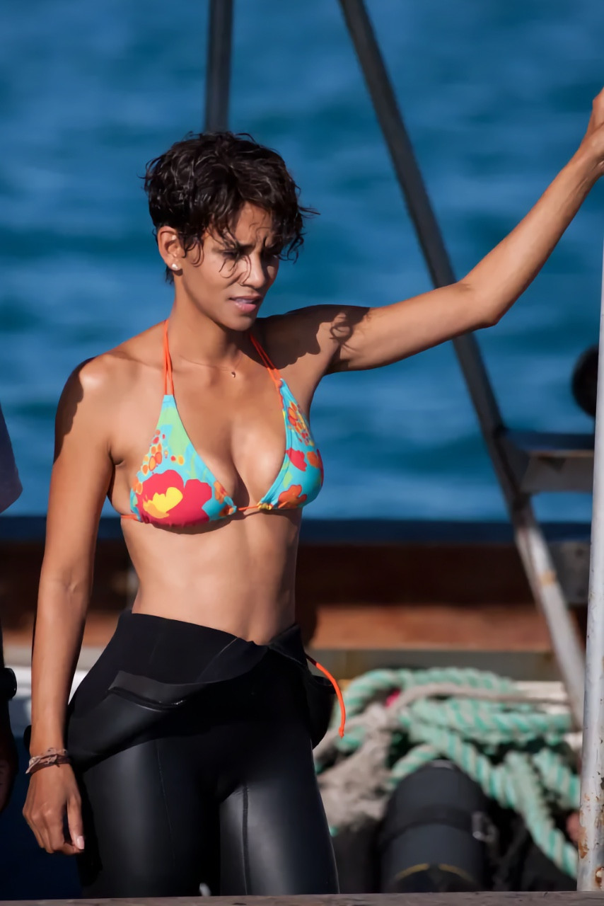 Halle Berry Playboy nude pic