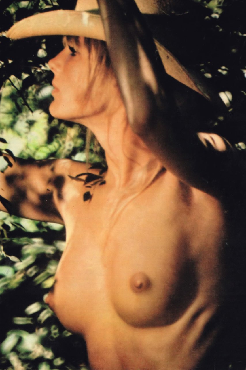 Linda Evans nude